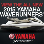 ywc9000_all-new_vx_profile_300x250_1a