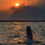 jsfa-sliders-Dolphin1