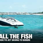 BIMINI