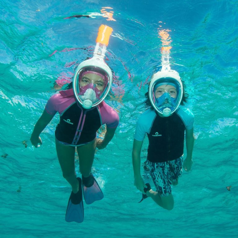 Case of The Wednesdays: Tribord EasyBreath Full-Face Snorkel