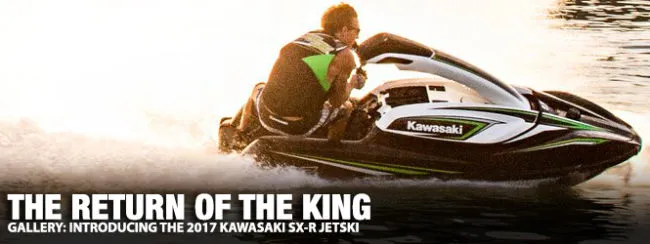 king