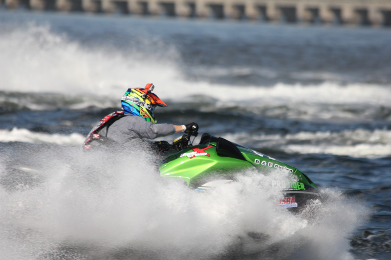 lighted animated deer