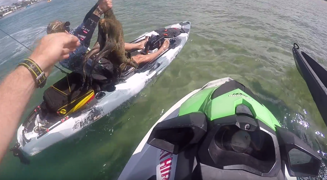 Screen Shot 2018-04-01 at 10.47.41 PM