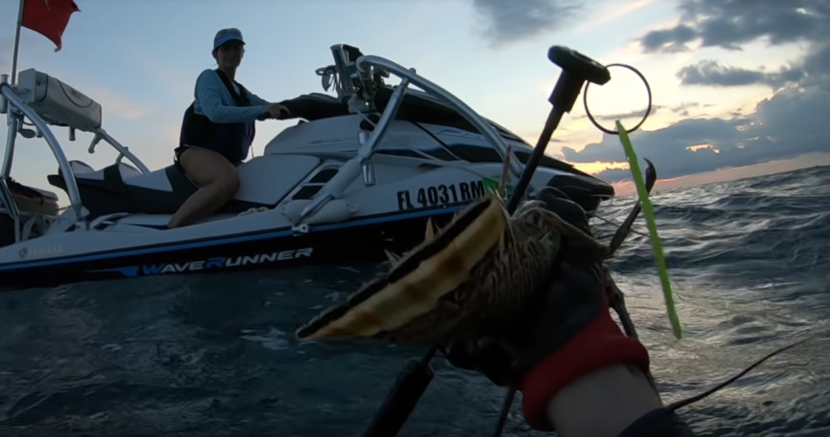 Screen Shot 2019-04-29 at 9.24.11 AM