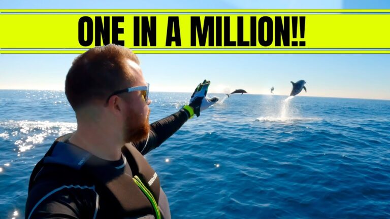 Video: YouTuber Dolphin Encounter on a PWC in Newport Beach, CA